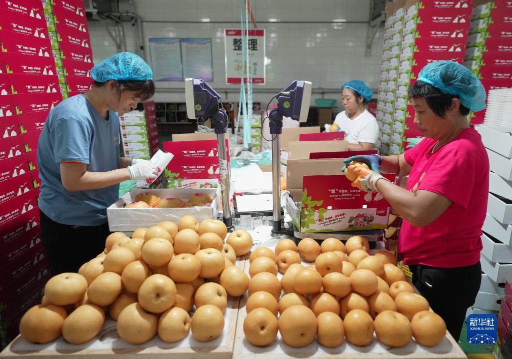 捕鱼游戏赚钱换人民币是真的